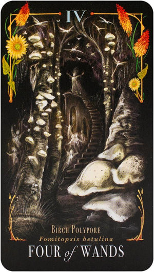 The Mushroom Tarot Deck