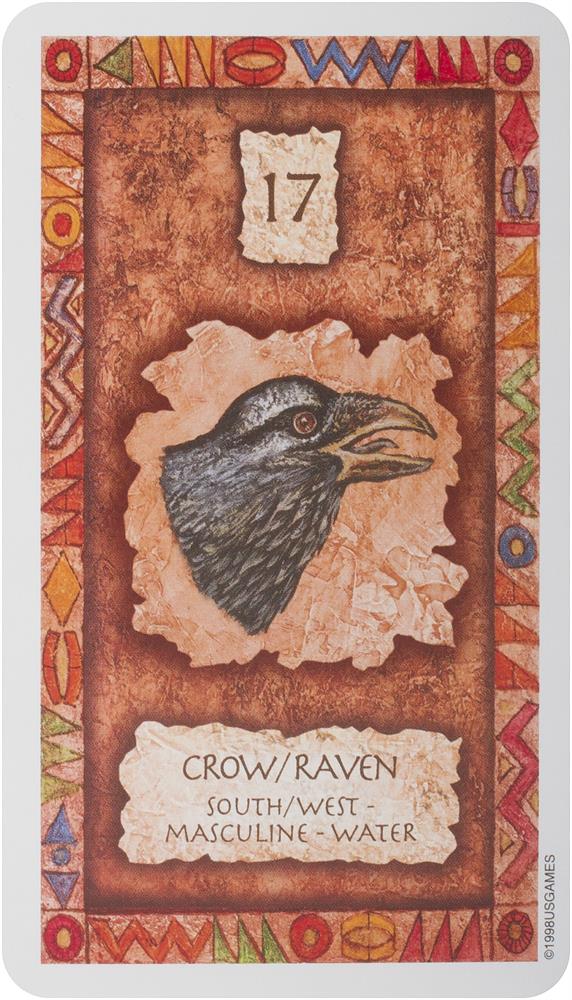 Shaman Wisdom Cards -- Tarot Cards: 65-Card Deck