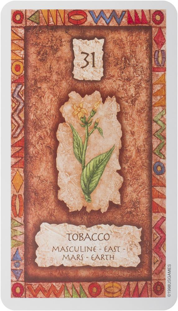 Shaman Wisdom Cards -- Tarot Cards: 65-Card Deck