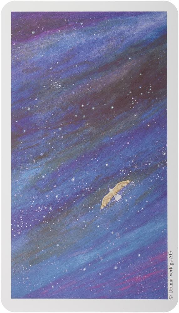 Vision Quest Tarot Deck (2-7/8' X 4-7/8' Deck)