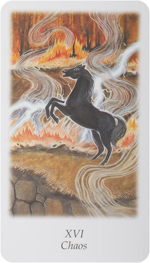 Vision Quest Tarot Deck (2-7/8' X 4-7/8' Deck)