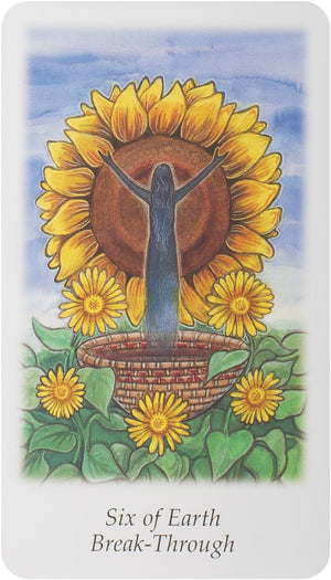 Vision Quest Tarot Deck (2-7/8' X 4-7/8' Deck)