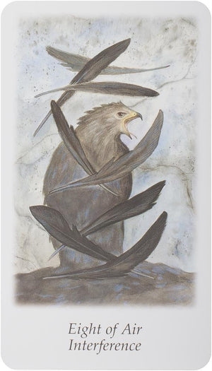 Vision Quest Tarot Deck (2-7/8' X 4-7/8' Deck)
