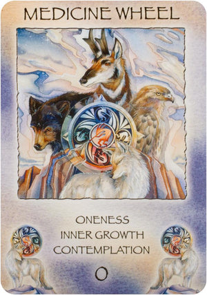 Spirit of the Wheel Meditation Deck [With Poster and Booklet]