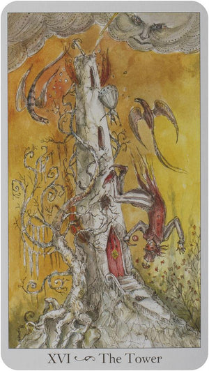 Paulina Tarot [With Booklet]
