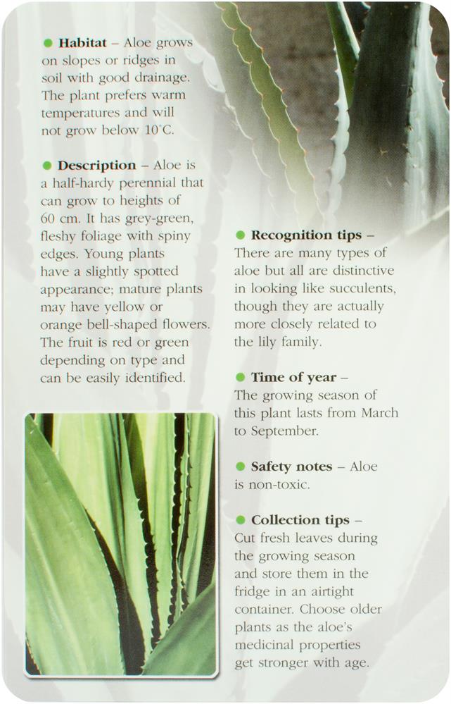 Herbal Recognition Cards (49 kort)