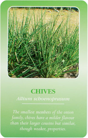 Herbal Recognition Cards (49 kort)