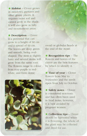 Herbal Recognition Cards (49 kort)