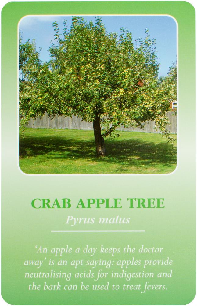 Herbal Recognition Cards (49 kort)