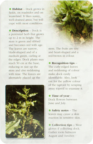 Herbal Recognition Cards (49 kort)