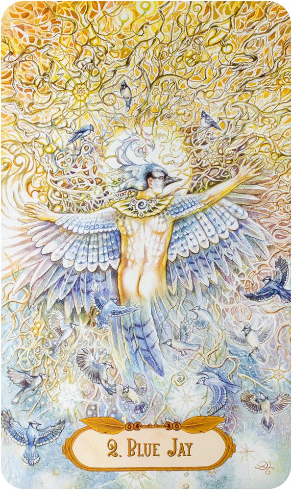 The Winged Enchantment Oracle deck (39-card deck & 48-page guidebook)