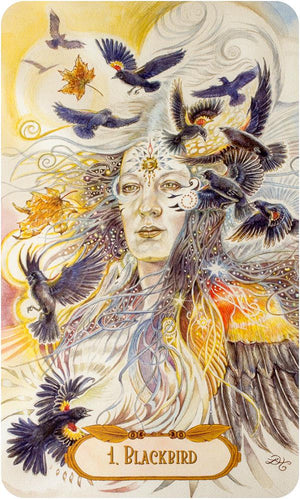 The Winged Enchantment Oracle deck (39-card deck & 48-page guidebook)