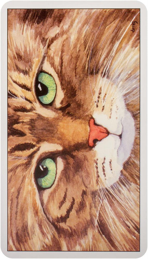 Cat's Eye Tarot