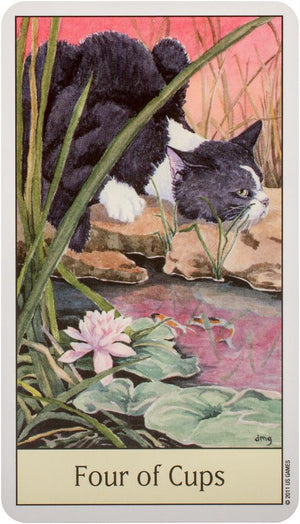 Cat's Eye Tarot