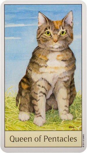 Cat's Eye Tarot