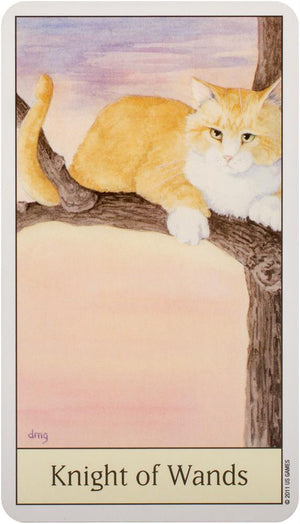 Cat's Eye Tarot