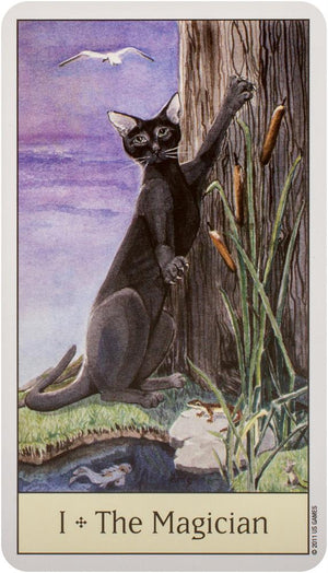 Cat's Eye Tarot