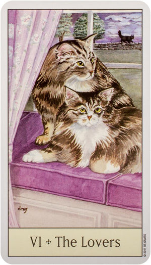 Cat's Eye Tarot