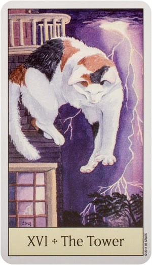 Cat's Eye Tarot