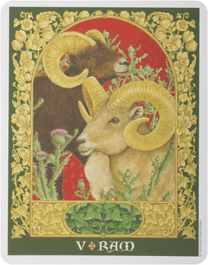 The Sacred World Oracle (44-card deck & instruction booklet)