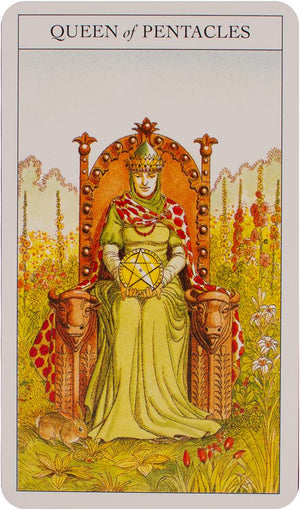 Beginner's guide to tarot deck & book set