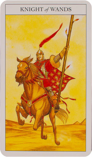 Beginner's guide to tarot deck & book set