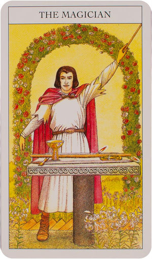 Beginner's guide to tarot deck & book set