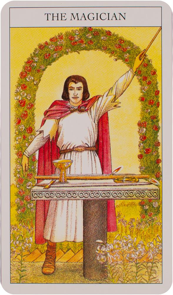 Beginner's guide to tarot deck & book set