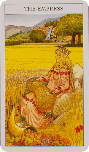 Beginner's guide to tarot deck & book set