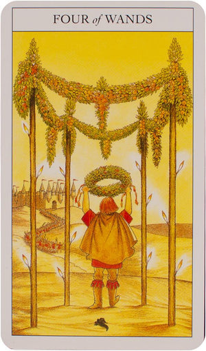 Beginner's guide to tarot deck & book set