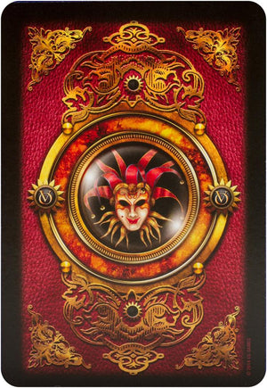 Oracle of Visions (52-card deck & instruction booklet)