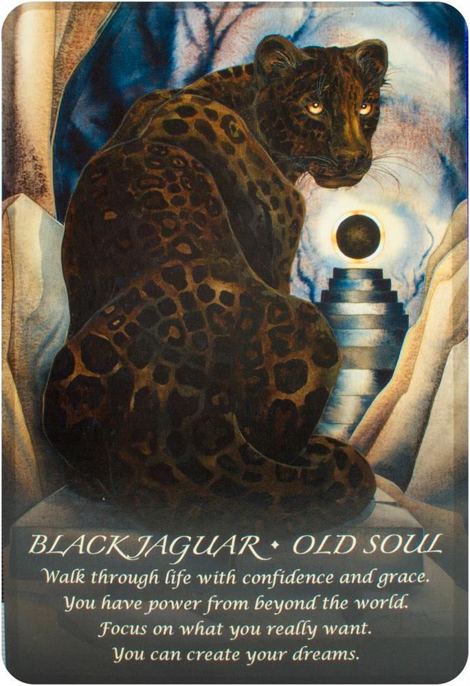 Spirit Of The Animals Oracle
