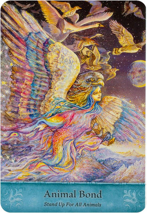 Mystical Wisdom Card Deck