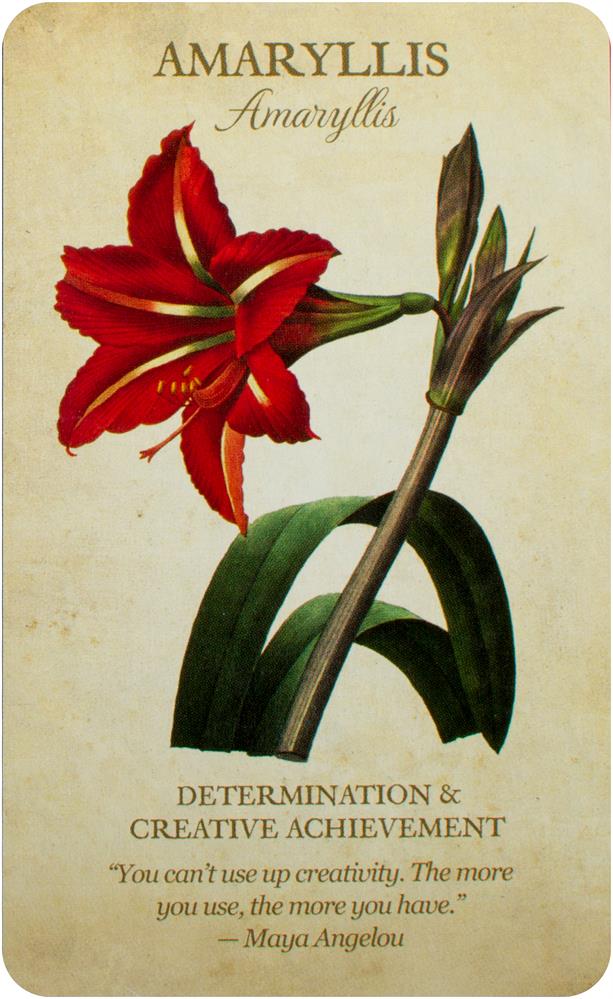 Botanical Inspirations Deck & Book Set