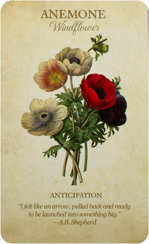 Botanical Inspirations Deck & Book Set