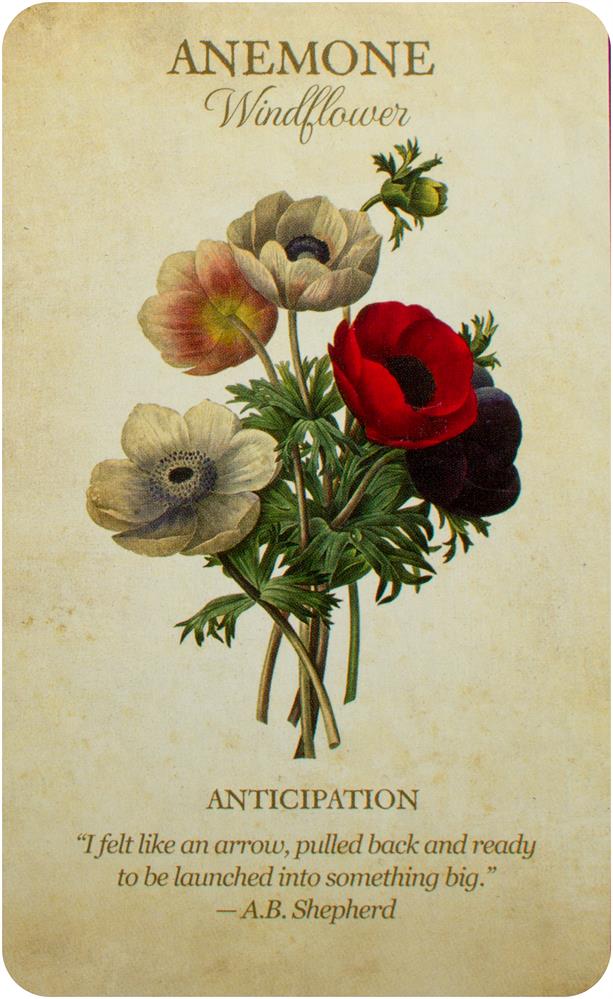 Botanical Inspirations Deck & Book Set