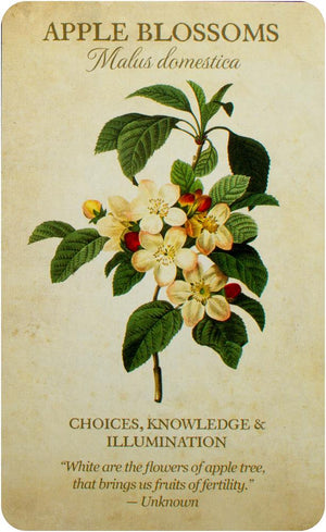 Botanical Inspirations Deck & Book Set
