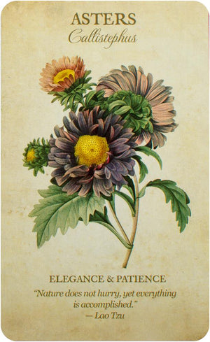 Botanical Inspirations Deck & Book Set