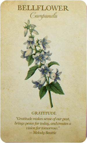 Botanical Inspirations Deck & Book Set
