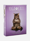 Yoga Cats Deck & Book Set