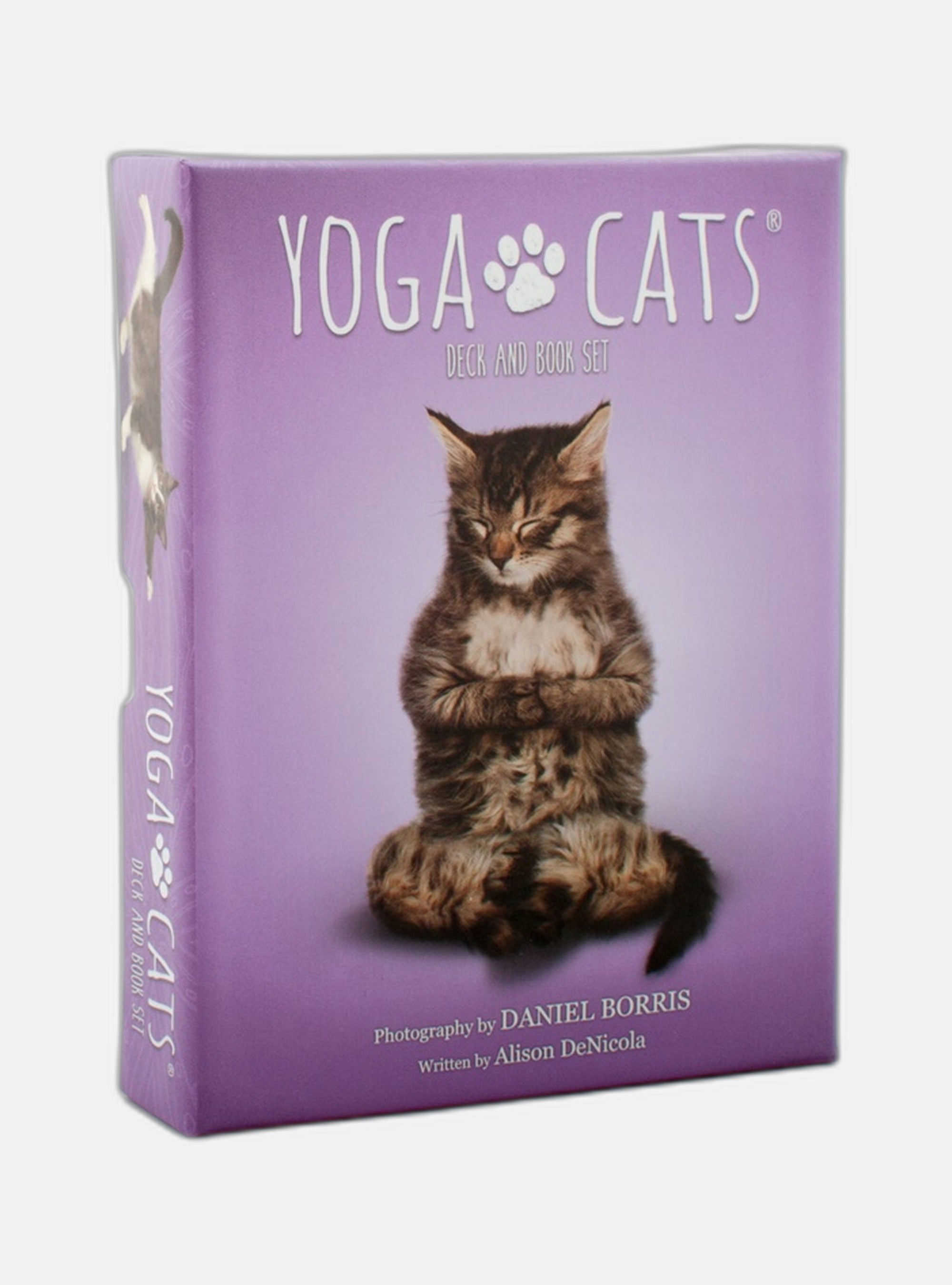 Yoga Cats Deck & Book Set