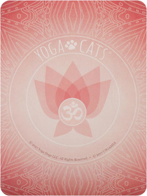 Yoga Cats Deck & Book Set