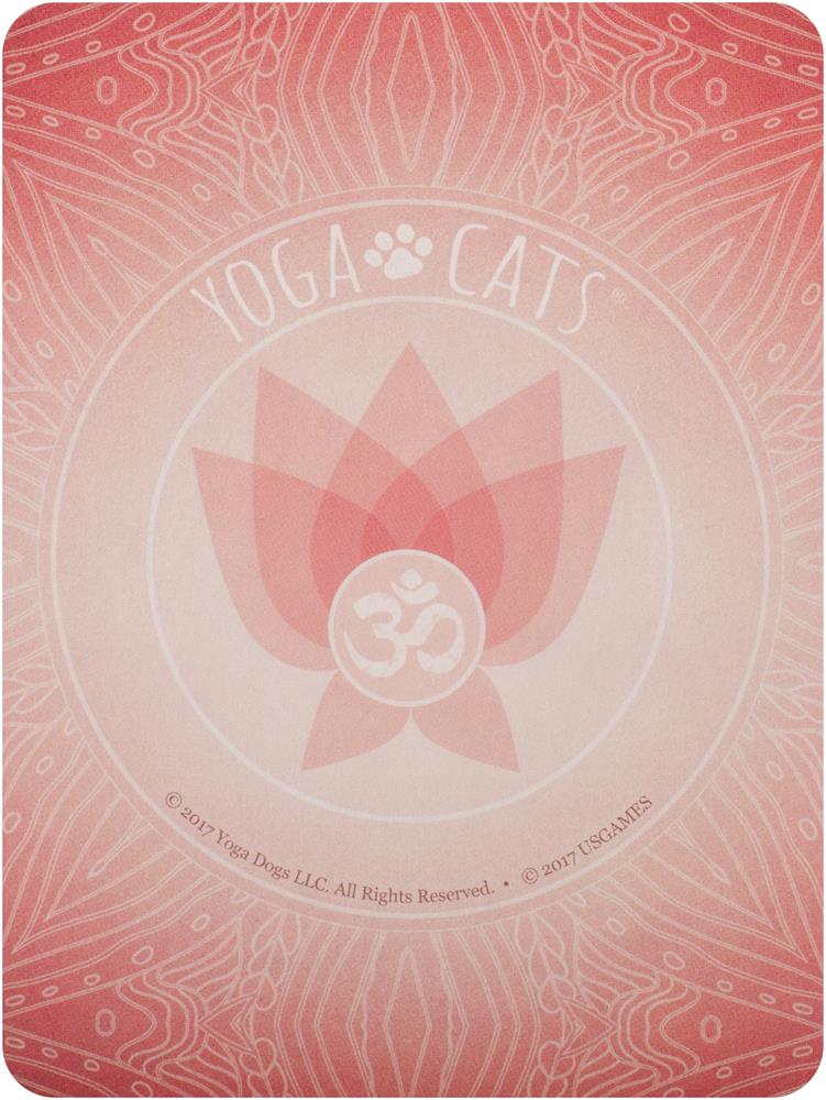 Yoga Cats Deck & Book Set