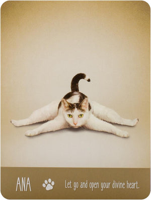 Yoga Cats Deck & Book Set
