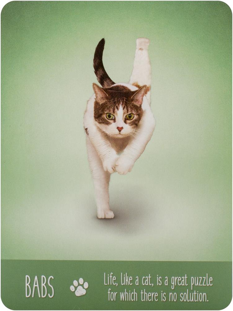 Yoga Cats Deck & Book Set