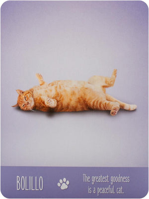 Yoga Cats Deck & Book Set