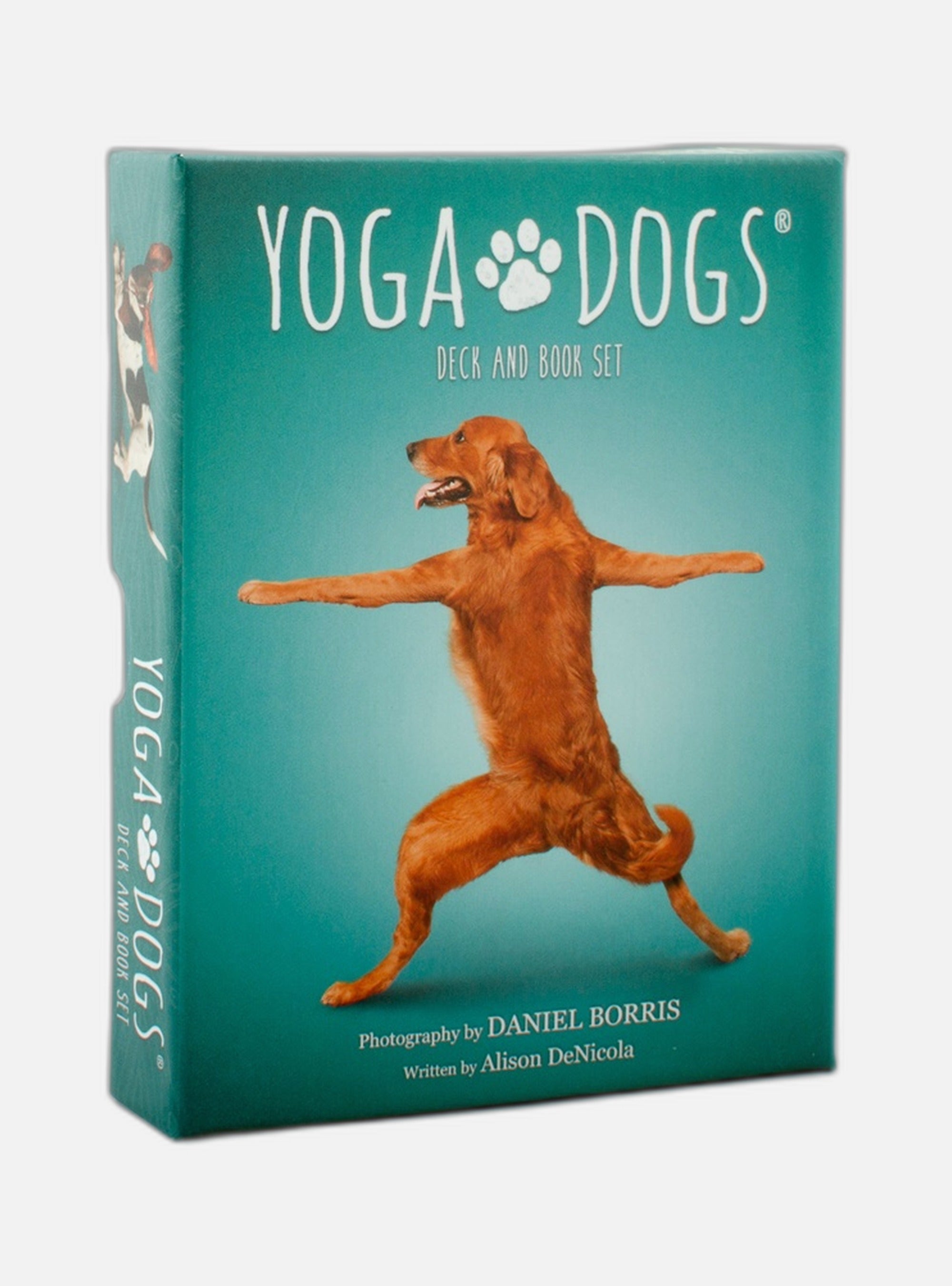 Yoga Dogs Deck & Book Set