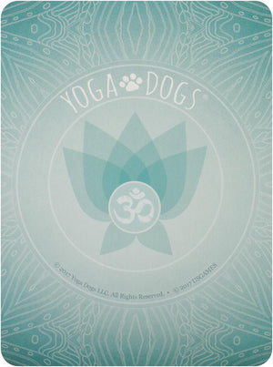 Yoga Dogs Deck & Book Set