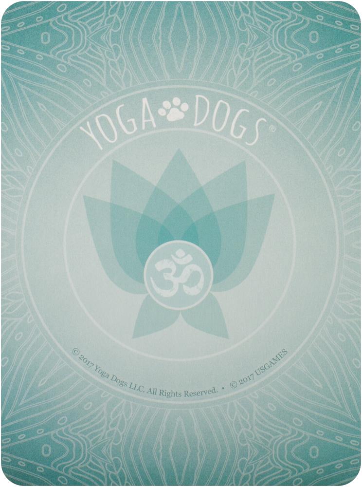 Yoga Dogs Deck & Book Set