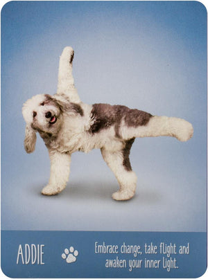 Yoga Dogs Deck & Book Set